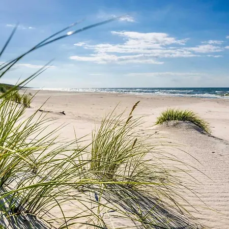 Pod Lasem Sobieszewo Holiday home
